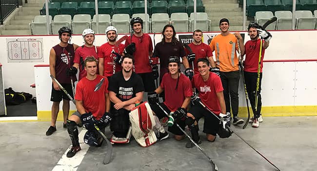 2019 rockland ball hockey