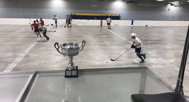2019 rockland ball hockey